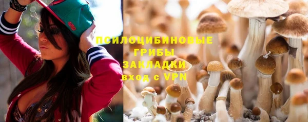 трава Елабуга