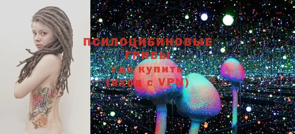 ALPHA PVP Елизово