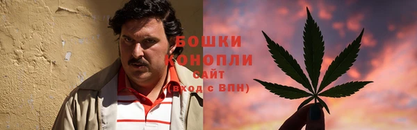 ALPHA PVP Елизово