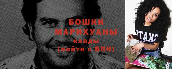 ALPHA PVP Елизово