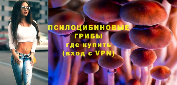 трава Елабуга