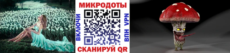 Купить где  Канск  Галлюциногенные грибы GOLDEN TEACHER 